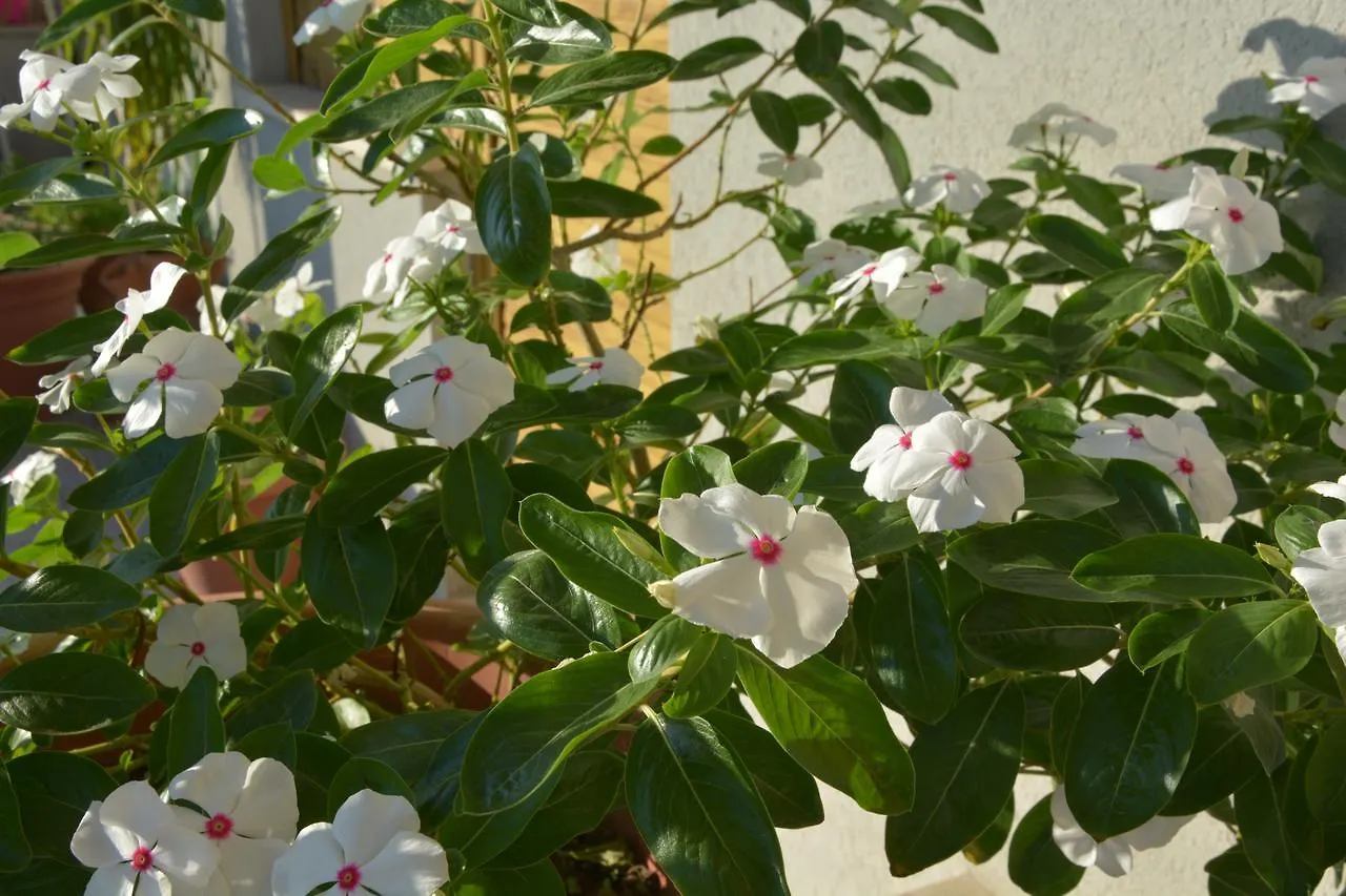 Bed & Breakfast B&B Attico 33 Palermo